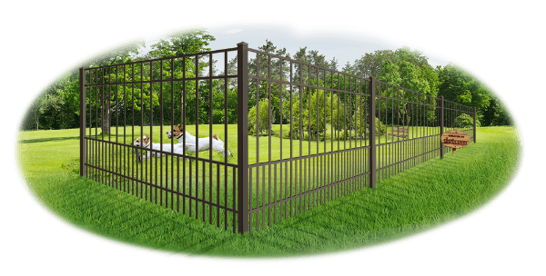 Aluminum Dog Fencing in Tampa Florida